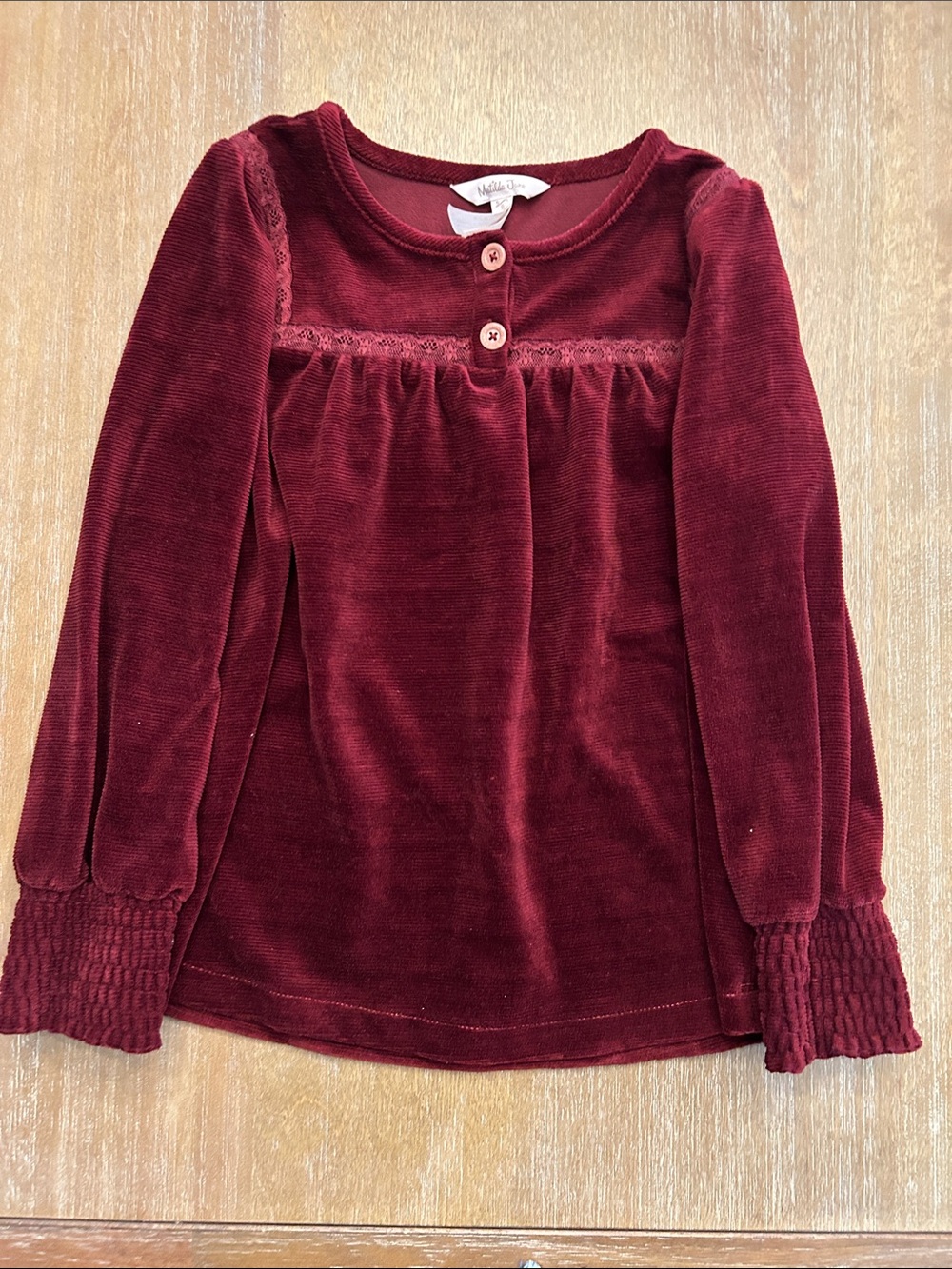 Matilda Jane Velvet Long Sleeve Top in Deep Burgundy